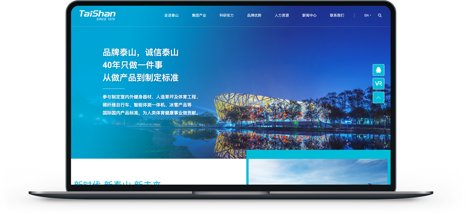 泰山集团网站制作